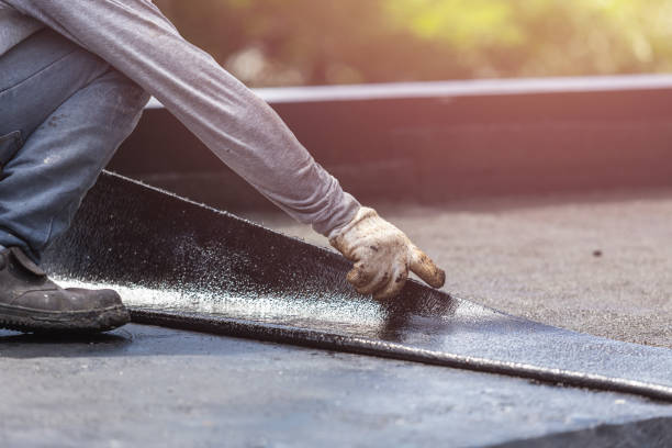 Professional Interior Drainage System technician working in Arkdale, WI